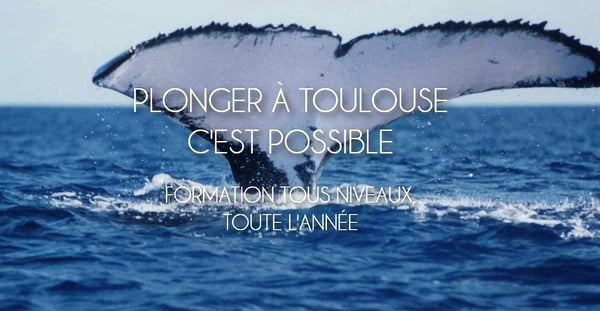 Club plongee subaquatique toulouse haute garonne