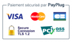 Xpayplug blog badge payplug png pagespeed ic 6qseyll7dc 1